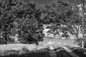 Unknown perspective
