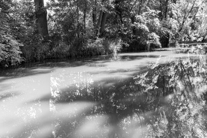 Cloudy reflection