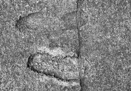 footprints of a homminid
