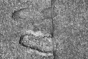 Footprints of a homminid