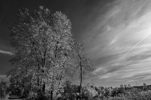 Autumn fires