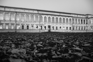 Alte Pinakothek