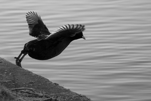 Take off