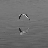 Floating embrace
