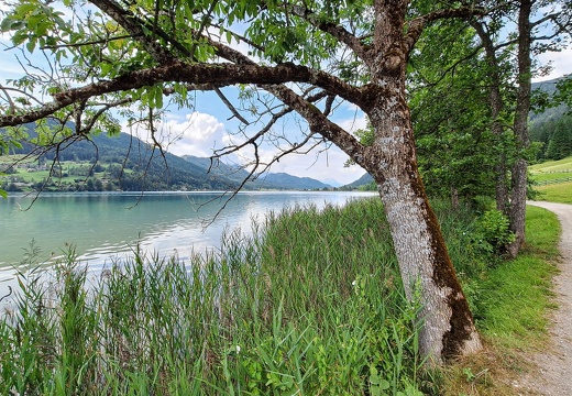 Weg am Weissensee