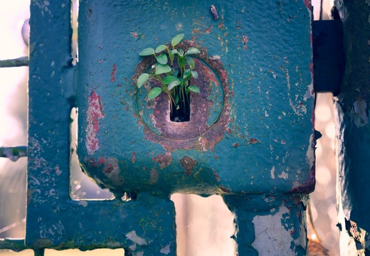Awakening door lock