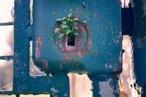 Awakening door lock