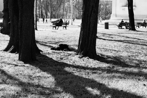 Park an der Glyptothek