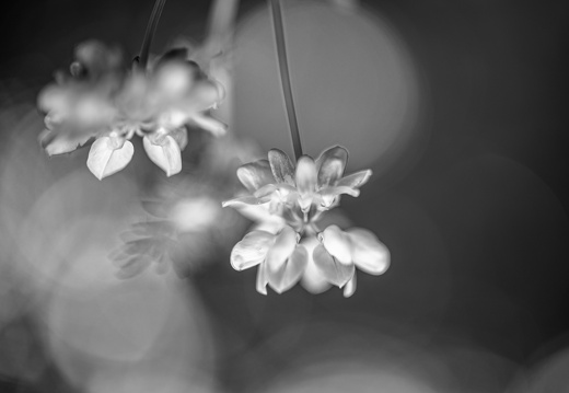 Explosions in the night sky