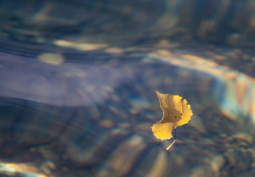 Traces of light