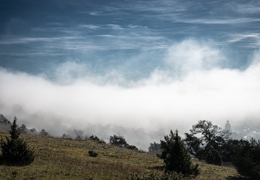 Nebel über Gungolding