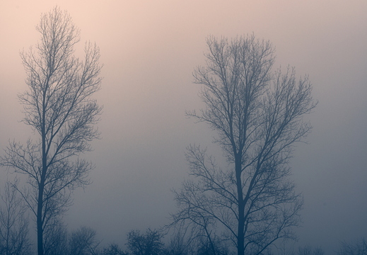 Lumière mystérieuse