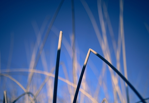 Les signes de l'hiver