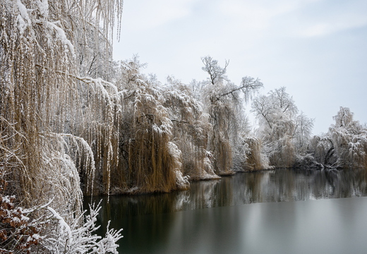 Le silence au bord du lac