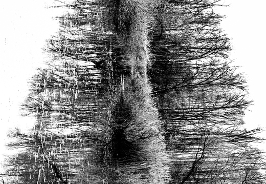 An der Ussel