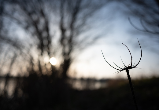 The Light of Poseidon