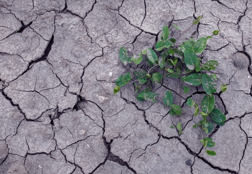 Broken Earth